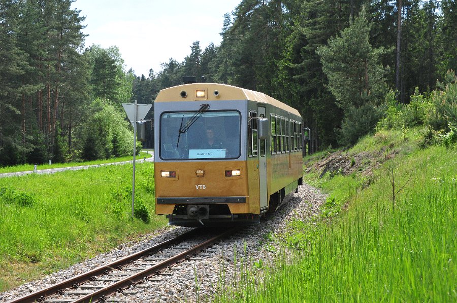 NÖVOG VT8 60  Jahre Diesellok 2095 (8)